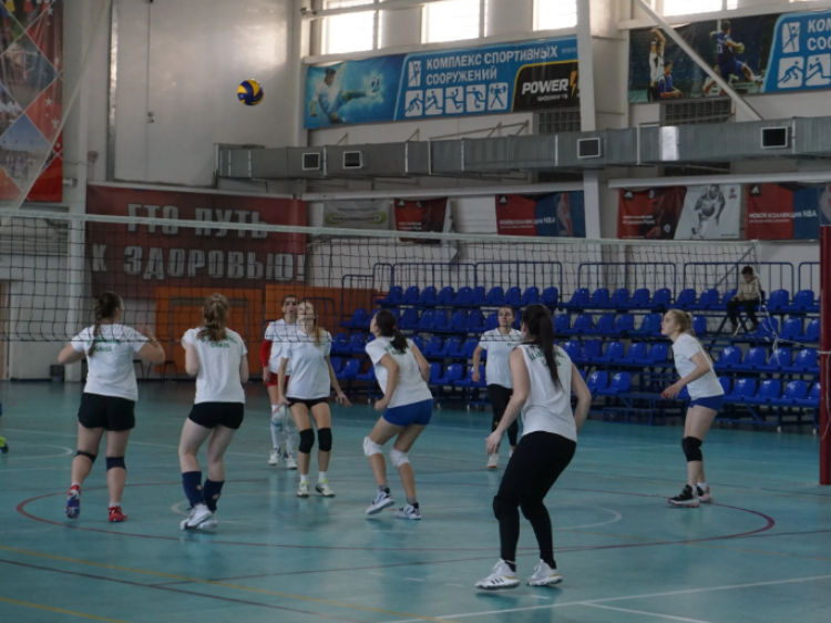 В Волжском активно развивают волейбольное движение и регулярно принимают соревнования по волейболу самого высокого ранга. Как рассказали Волжский.