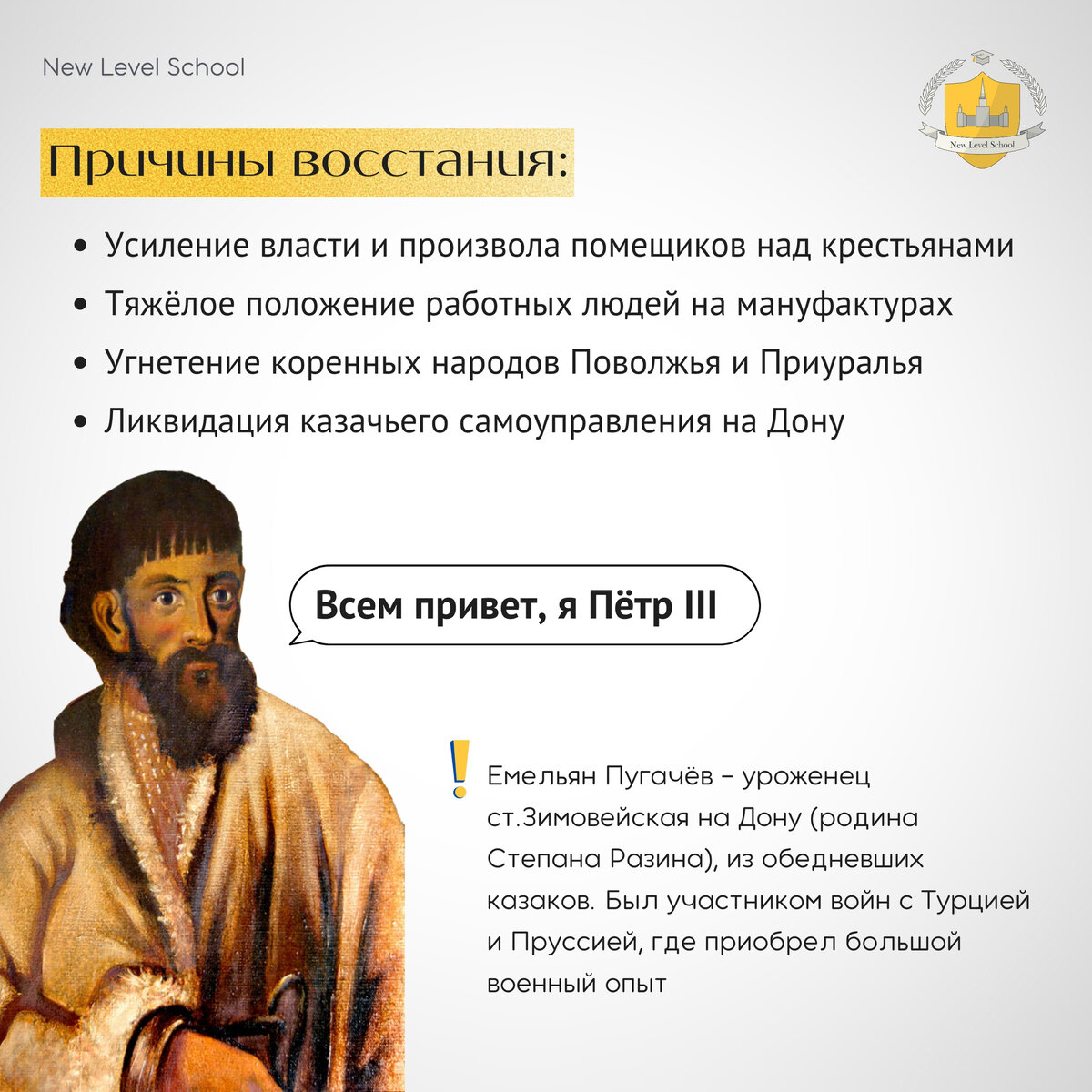 Восстание под предводительством Емельяна Пугачёва | Онлайн-школа New Level  School | Онлайн-школа New Level School | Эффективная подготовка к ЕГЭ и ОГЭ  | Дзен