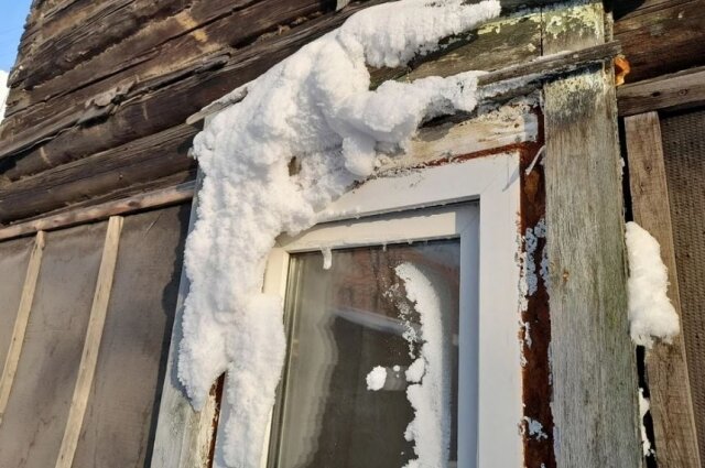    Фото: Комсомольская правда Томск/ Алена Голева