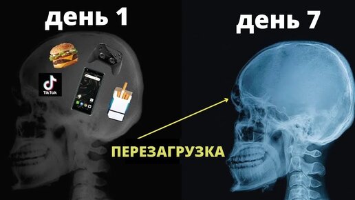 Доктор Джо Диспенза – Перепрограммируй свой мозг (всего за 7 дней)