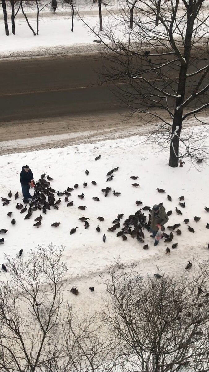     Галина Иванова