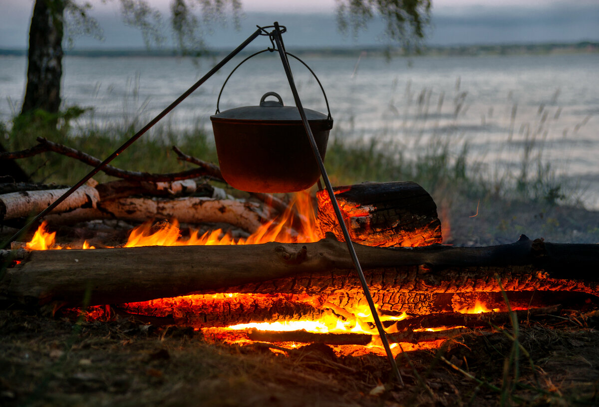 Фото: Д. Богачев