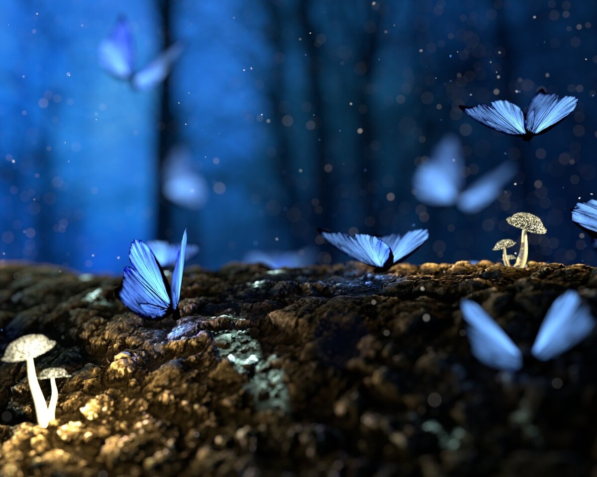 Мир дуален, прими свою светлую и тёмную сторону… 