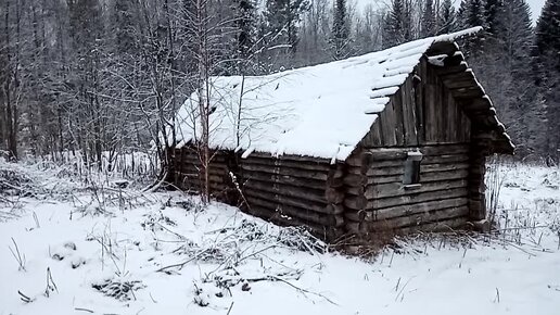 Русские в лесу - порно видео на optnp.ru