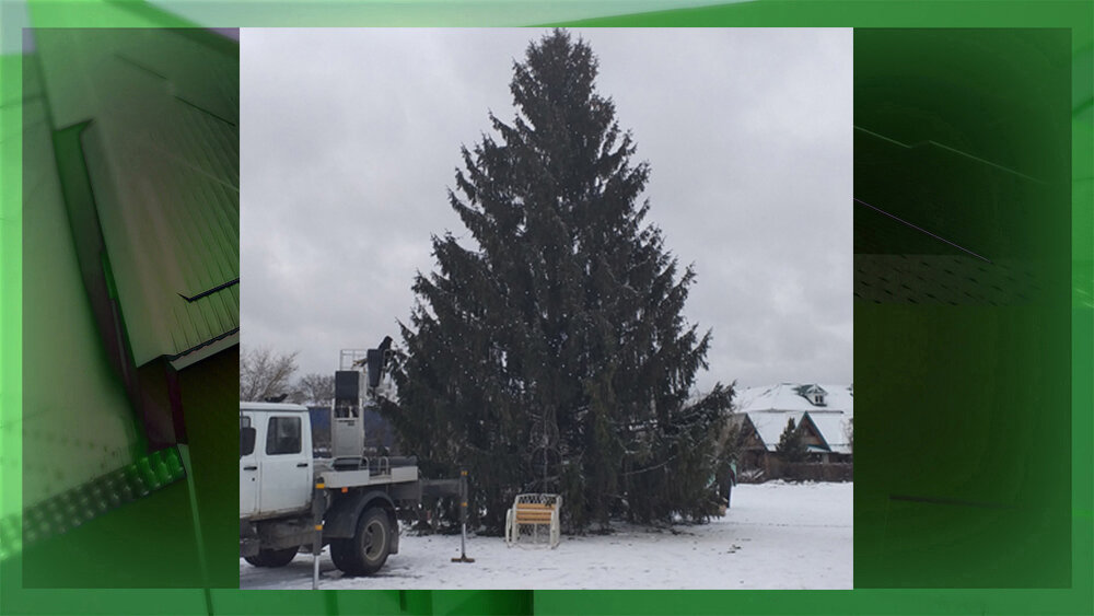 В Жуковке Брянской области 13 декабря установили главную новогоднюю ёлку. Дерево росло на частном участке по улице Пригородной. 14 декабря началось украшение новогодней красавицы.