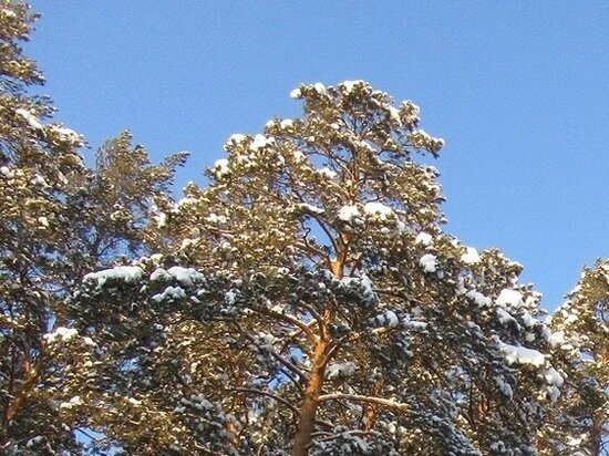     Фото: "МК-Урал".