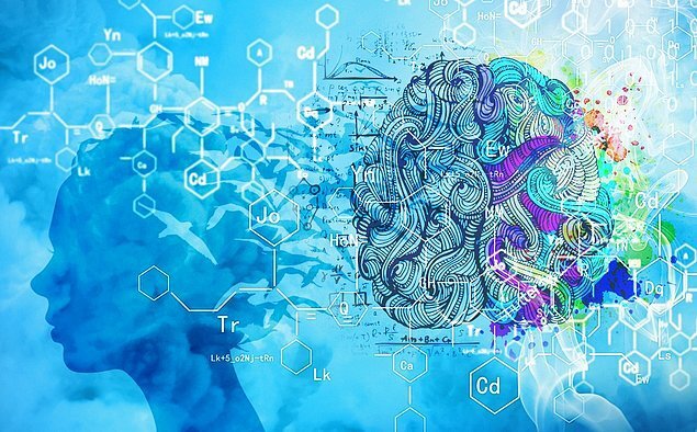 Картинка из открытого источника к тесту