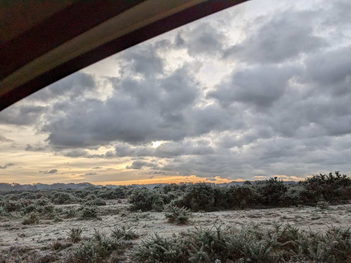 New Forest, дорога к parkrun. Фото из личного архива 