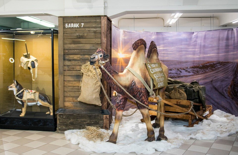     Чем были занятны на фронте верблюды, можно узнать на выставке в музее "Память". Фото: официальный сайт музея-заповедника "Сталинградская битва".