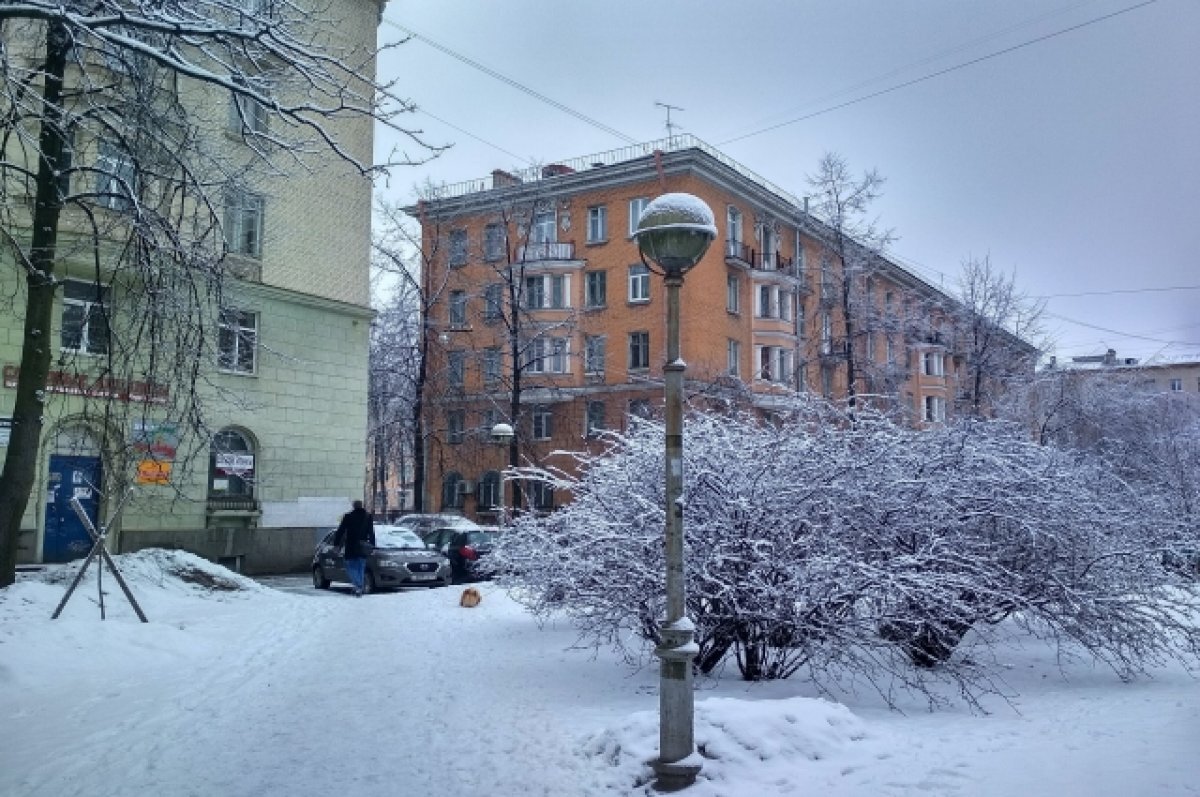    В Петербурге морозно, но обещают оттепель