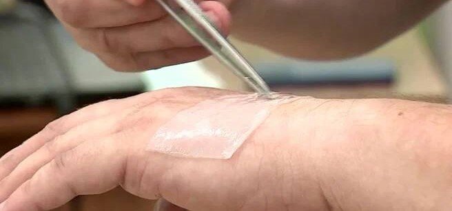 ФОТО: Вечерний Барнаул