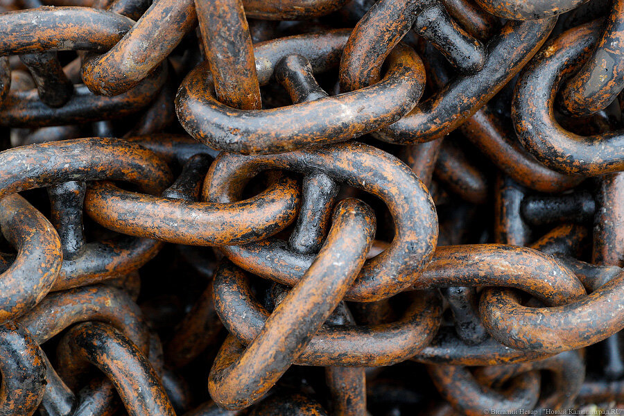 Фото: Виталий Невар / Новый Калининград