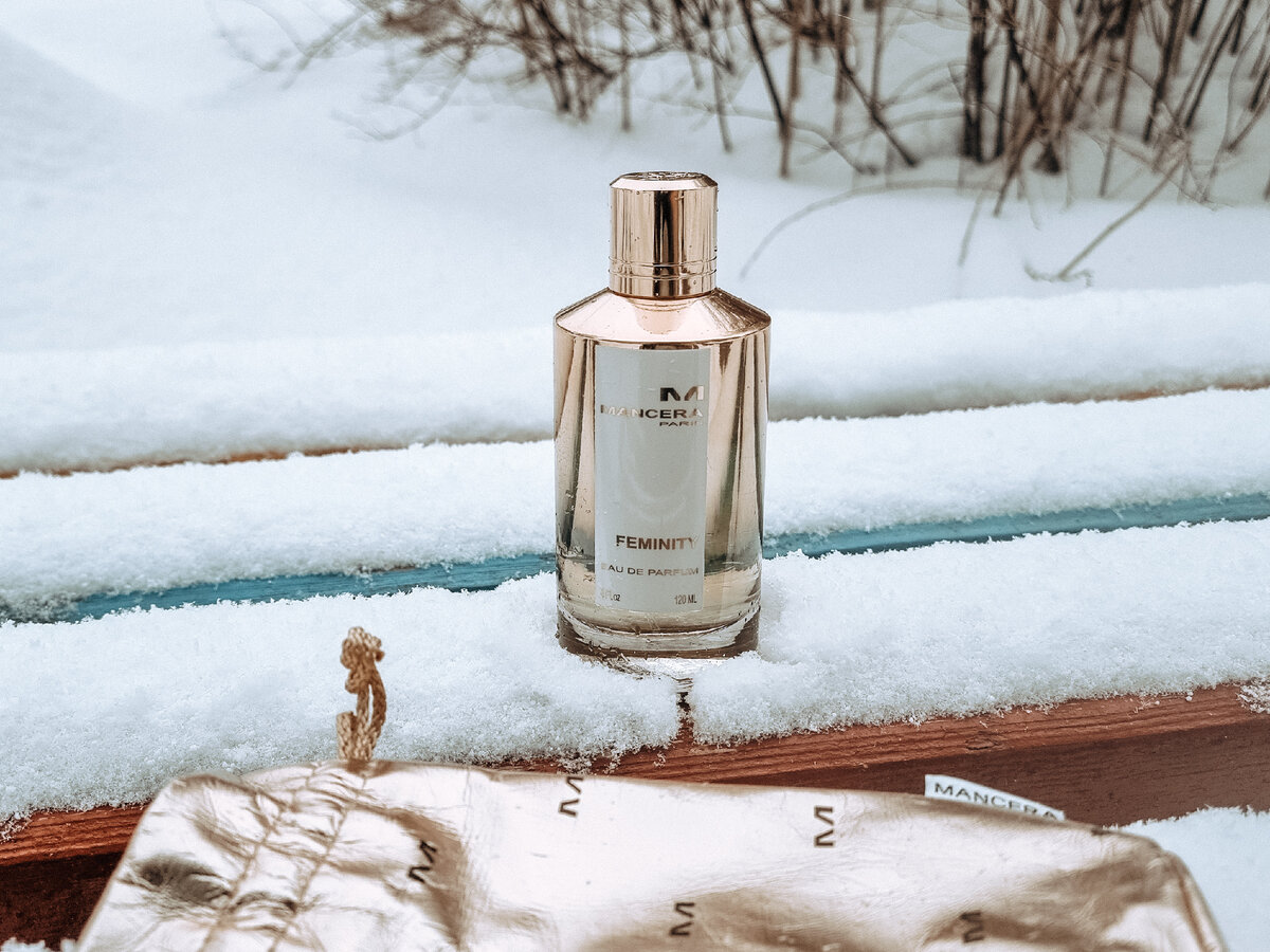 Зима парфюм. Осенние ароматы духов. Лучшие духи на зиму. Лучшие духи на зиму. Зимние духи.
