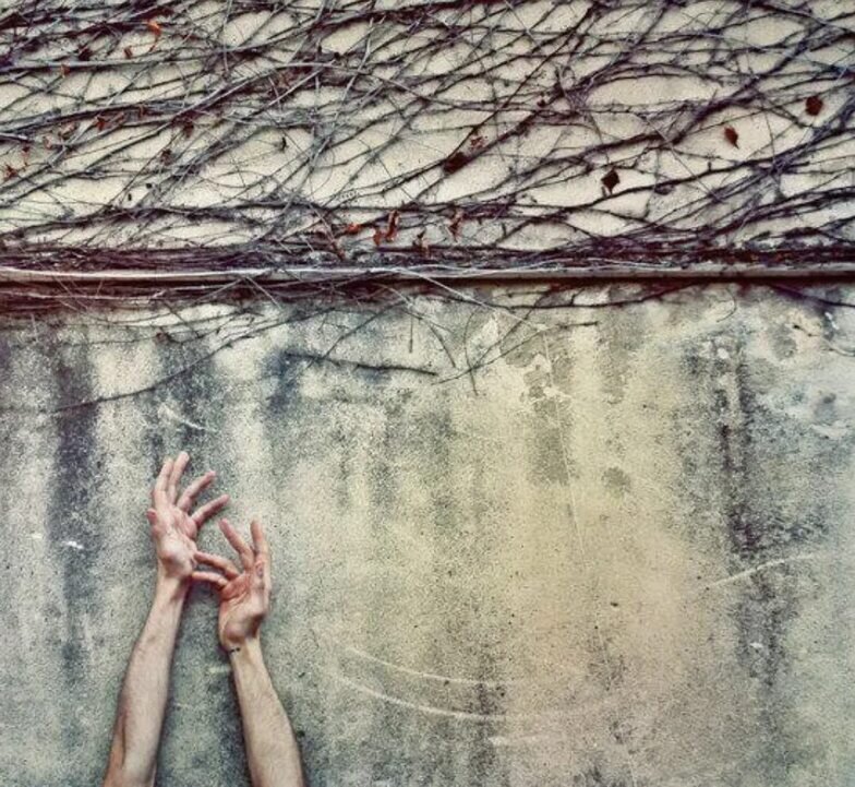 Фото из интернета