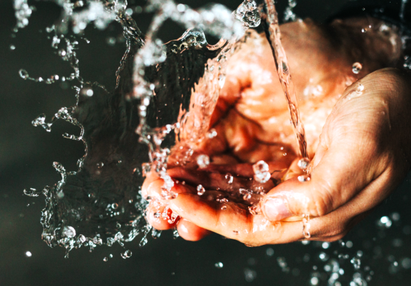    Фото: pixabay.com