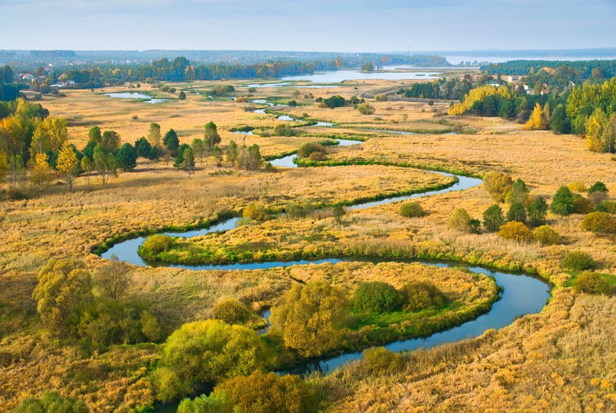 Река пьяна Нижегородская область вид сверху