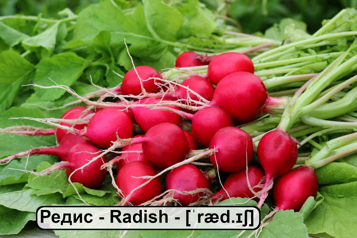 Овощи на английском языке. Карточки для запоминания слов | Red Hot ...