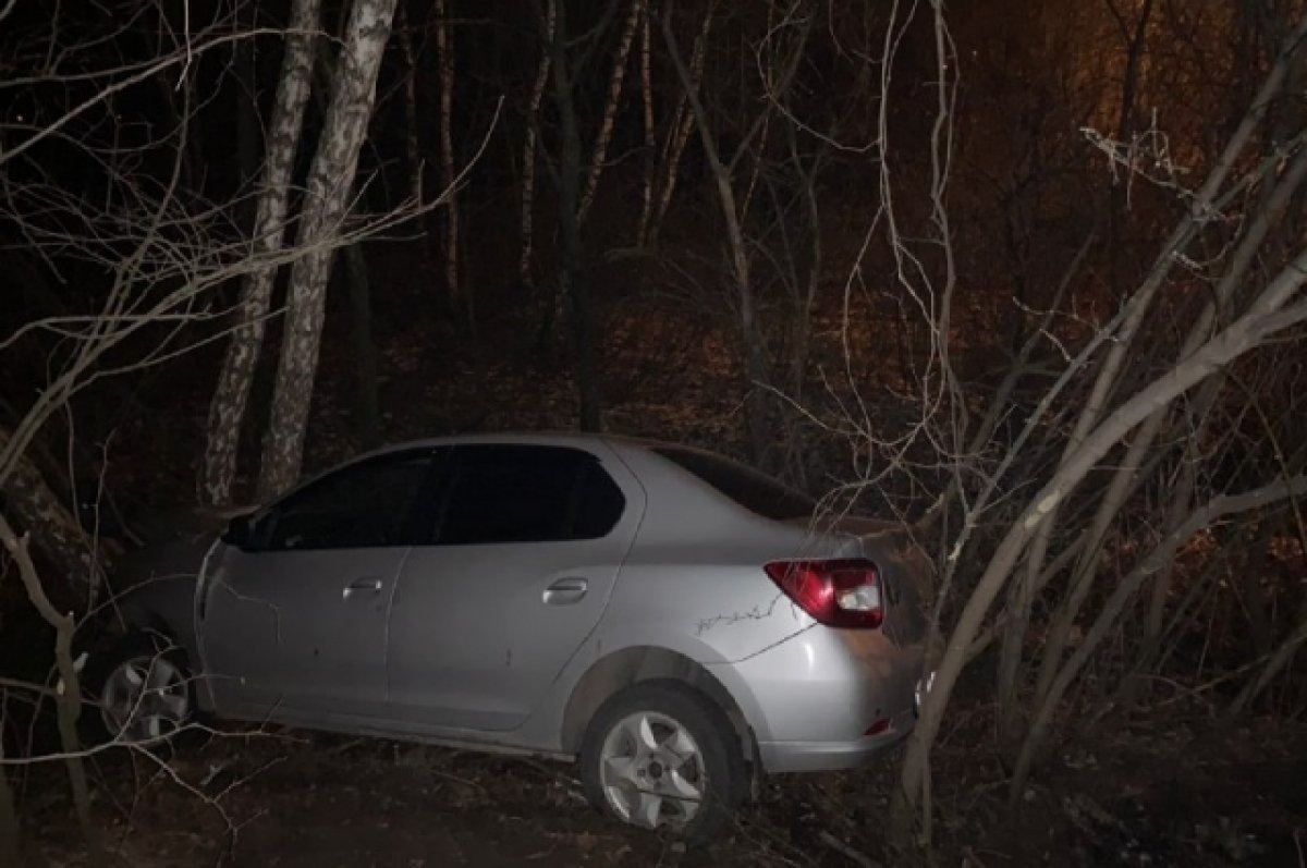    Воронежец за рулем Renault врезался в дерево: пять человек пострадали