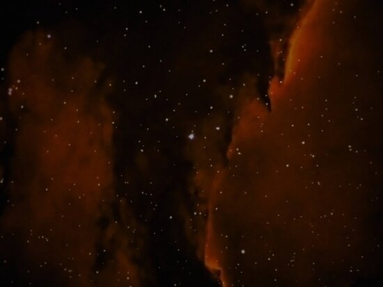     © Фото: ИД «Волгоградская правда» / Сергей Каширский / архив.