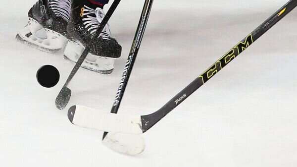   © Sputnik / Виталий Белоусов