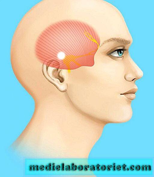 Височная доля. Расширение познания с самого рождения, - от висков. Седеем и деградируем с ВИсков.