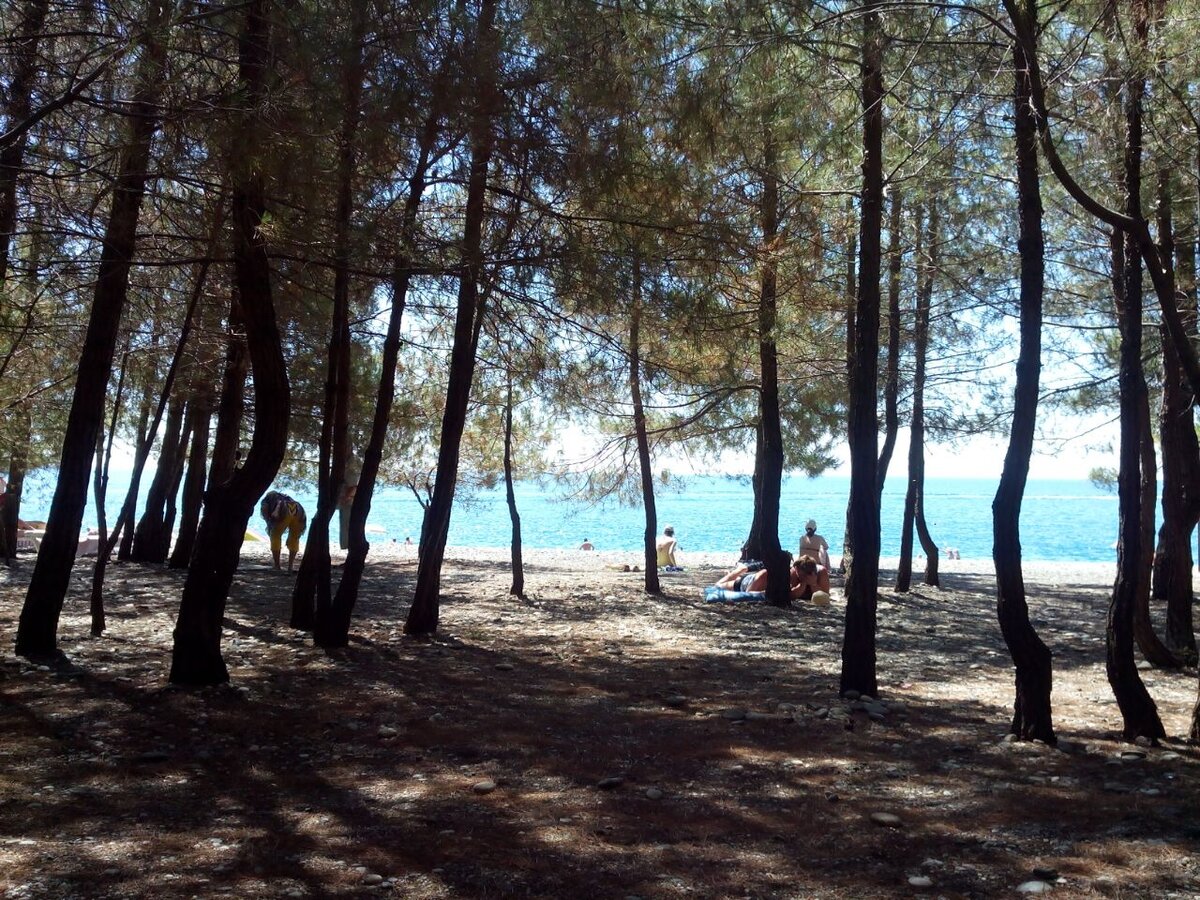 Пляж в Лдзаа. Море изумительного бирюзового цвета. В тени сосен можно отдыхать хоть целый день.