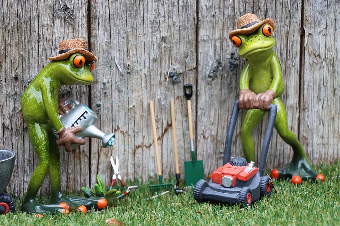 Фото: pixabay.com