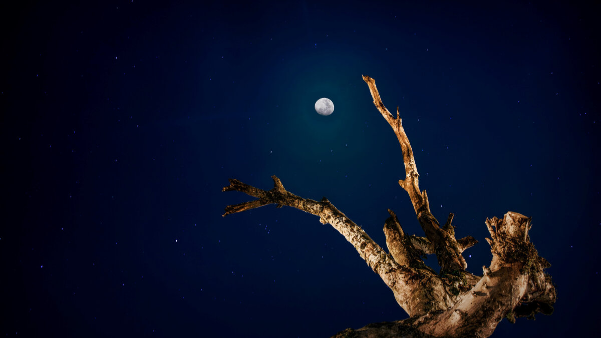 Photo by Frander Rosales V on Unsplash