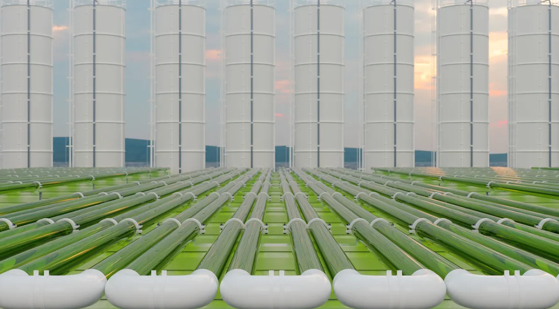 Солнечное топливо. Газообразное биотопливо. Экологически чистое топливо. Биотопливо Энергетика. Водоросли для биотоплива.