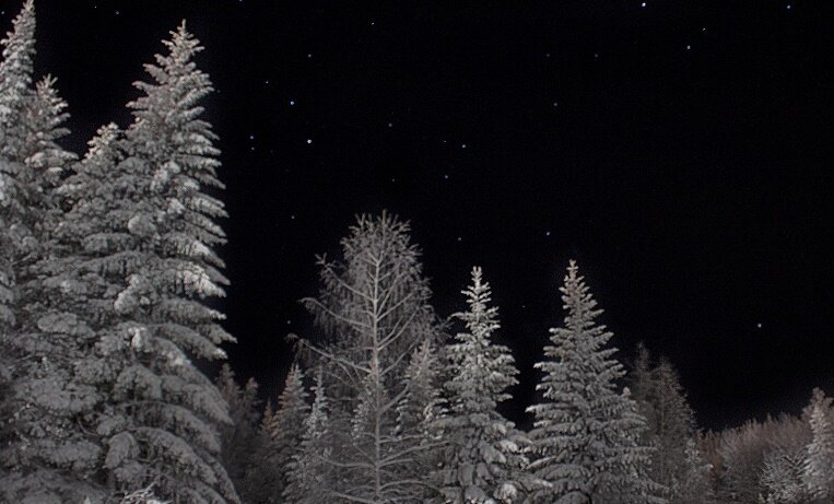 фото из свободного доступа.