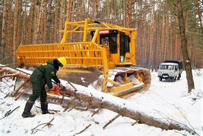    Расчистка лесной дороги © Пресс-служба Комитета лесного хозяйства Московской области