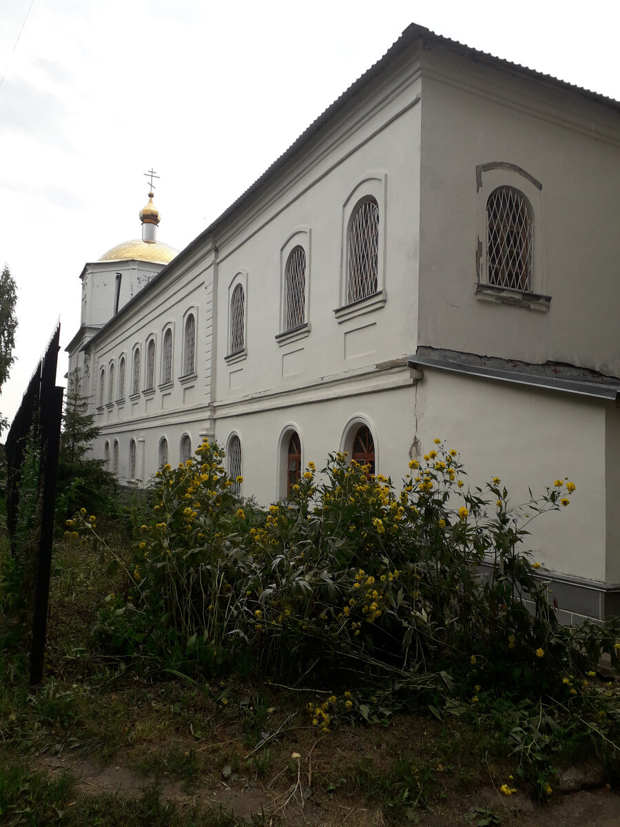 3 августа 2021 15:38