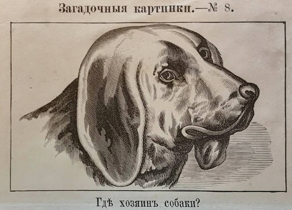 Собака с хозяином картинки. Рисунок отыщите собаку. Иллюзия собака и хозяин. Где хозяин собаки на картинке.