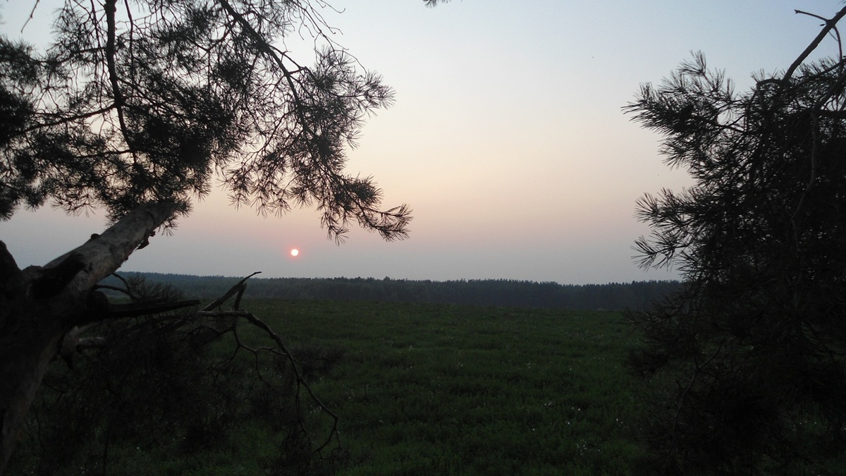 рубрика:"Утро дворянина"- Нижний Новгород