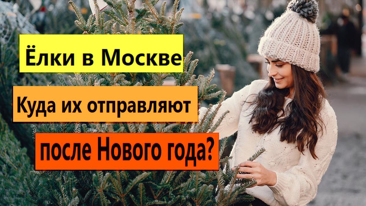 Фото из "7 секретов"