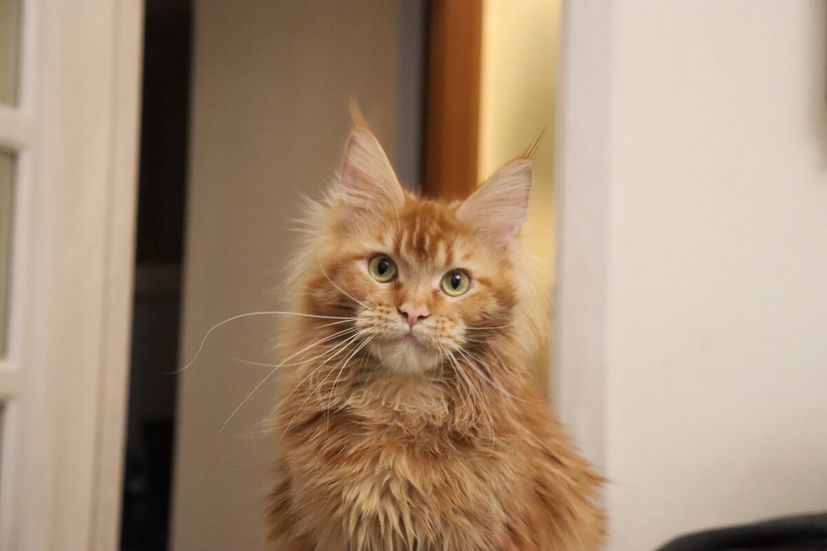 Фото из личного архива.