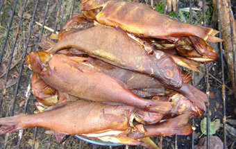 Окунь горячего копчения.