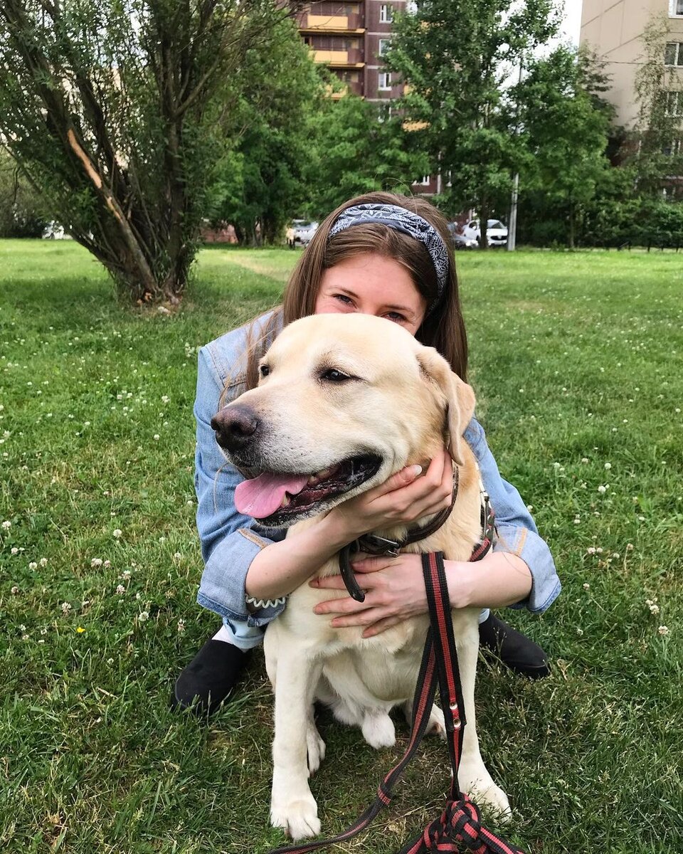 На фото мой любимый постоянный гость –лабрадор Бимка, 6 лет🤩