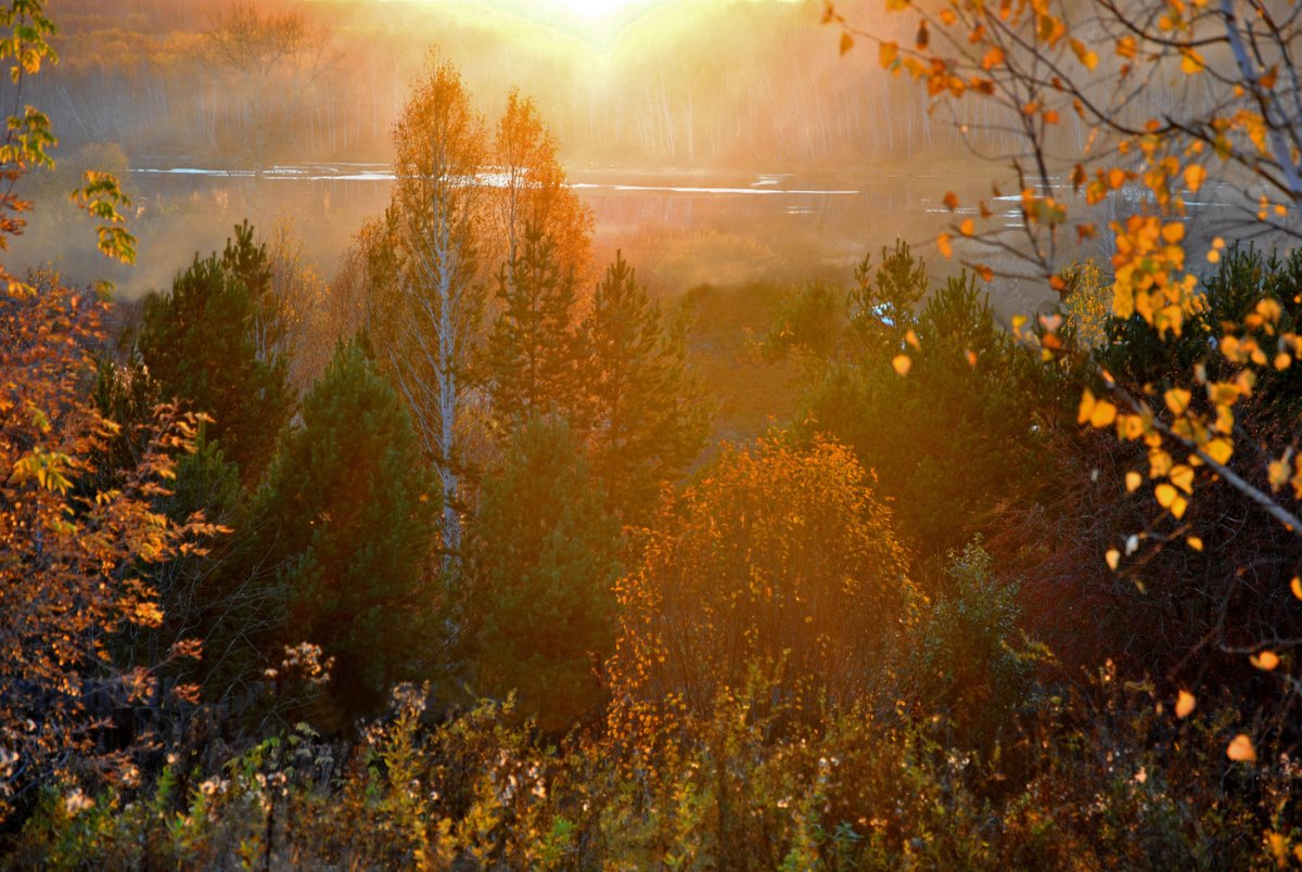 В лесу было тихо но в поле. Осенний рассвет. Осенняя Заря. Рассвет осенью. Осень рассвет.