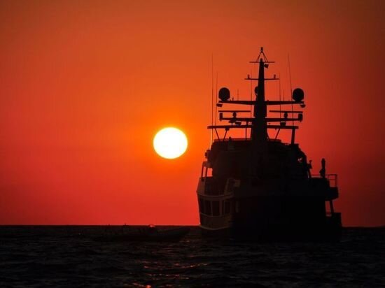     фото: pxhere.com