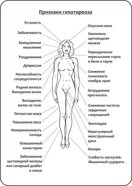 Щитовидная железа – держим под контролем