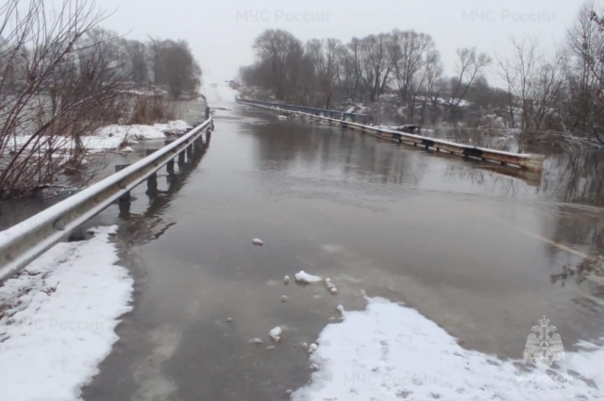    Тульский главк МЧС сообщил подробности подтопления мостов в регионе