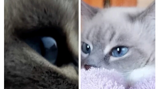 Ленины байки ( видео) | Ролики — короткие видео