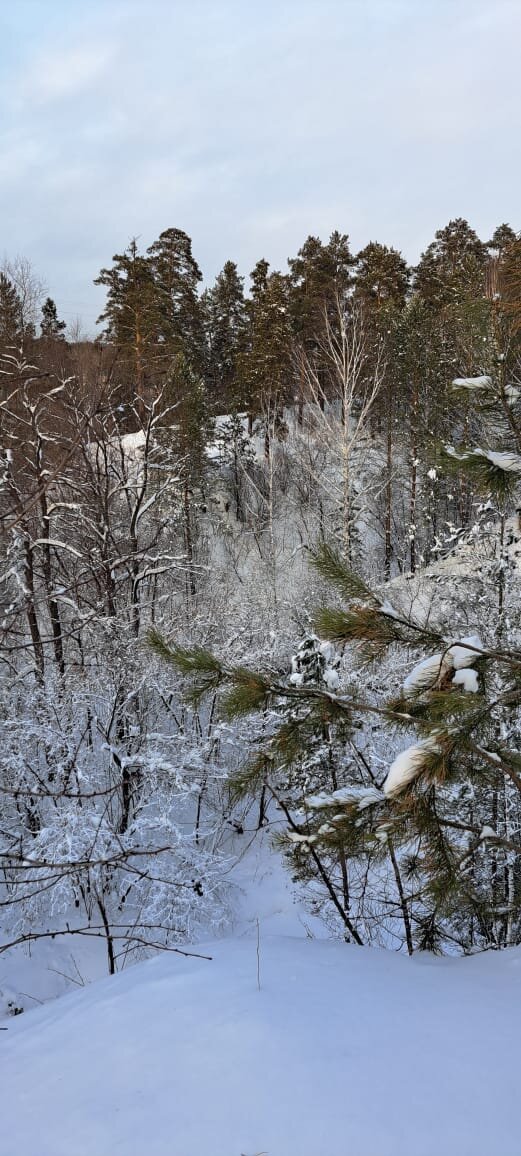 Заельцовский парк. Город Новосибирск.