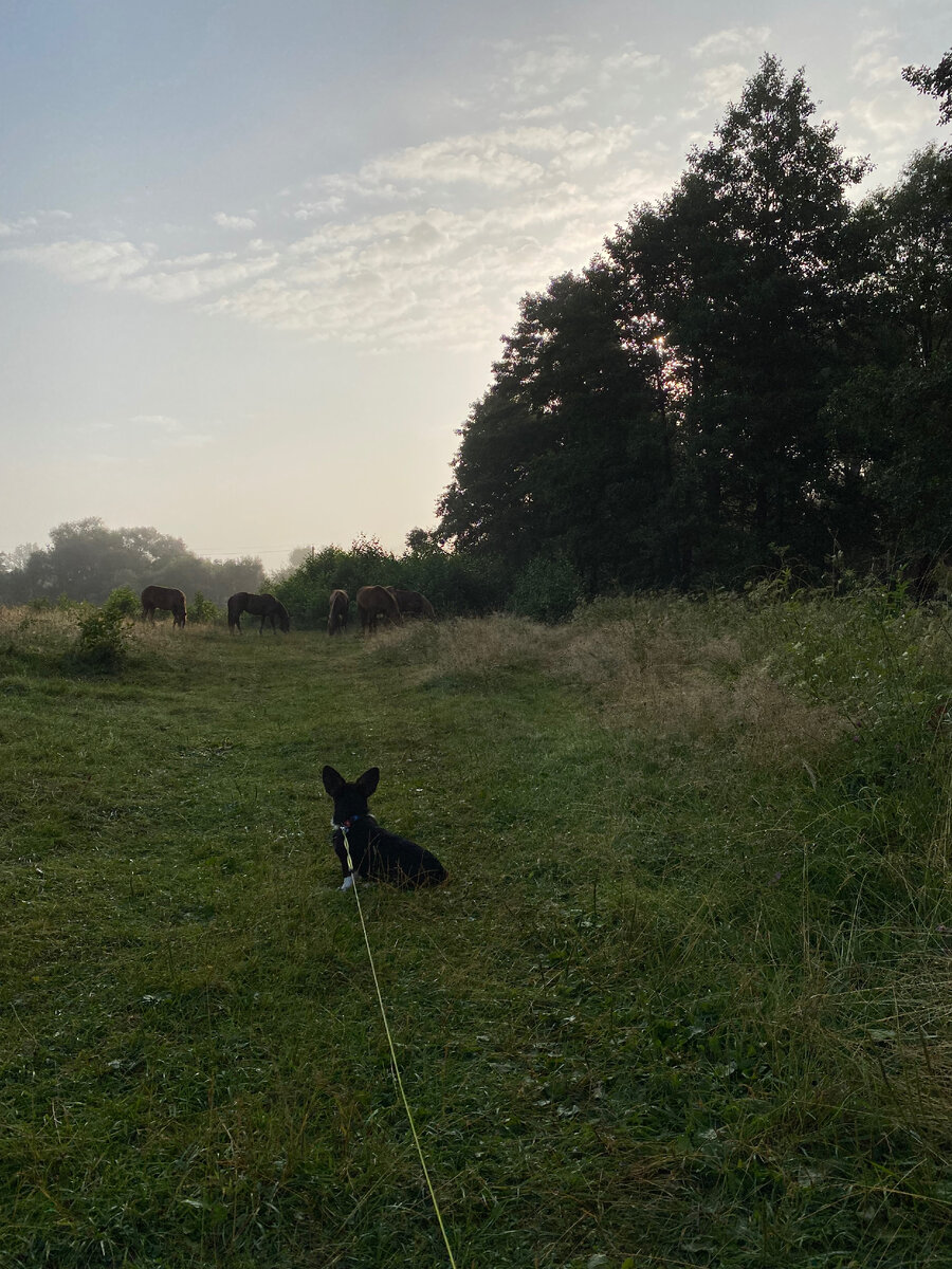 Вот это поворот