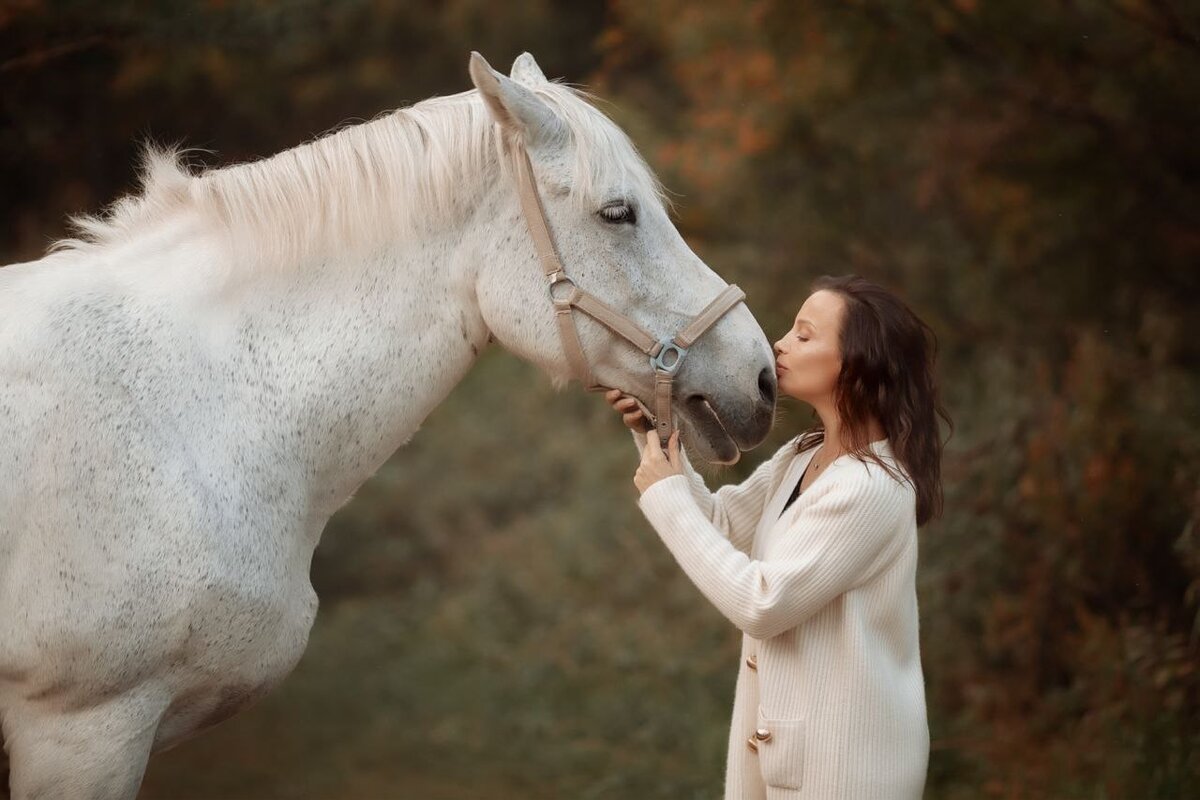 Обожаю лошадей, еще недавно у меня был свой, Велес, чистокровный британец, но пришлось расстаться ((( На фото не он, это Дуня