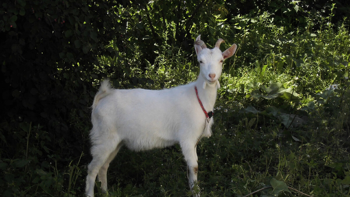 Моя Нюша, 6 мес