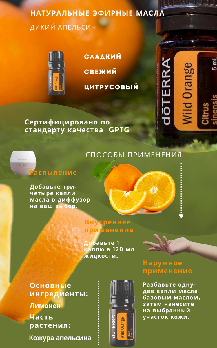 Источник фото: https://www.wildberries.ru/catalog/149983019/detail.aspx?targetUrl=GP