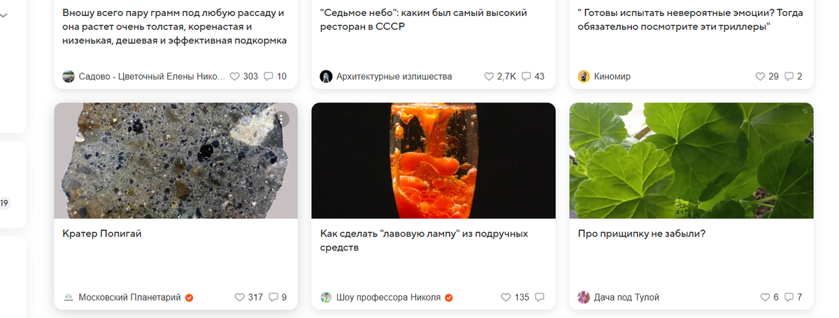 Дзен на главной странице Мейл.ру | Дневник начинающего садовода | Дзен