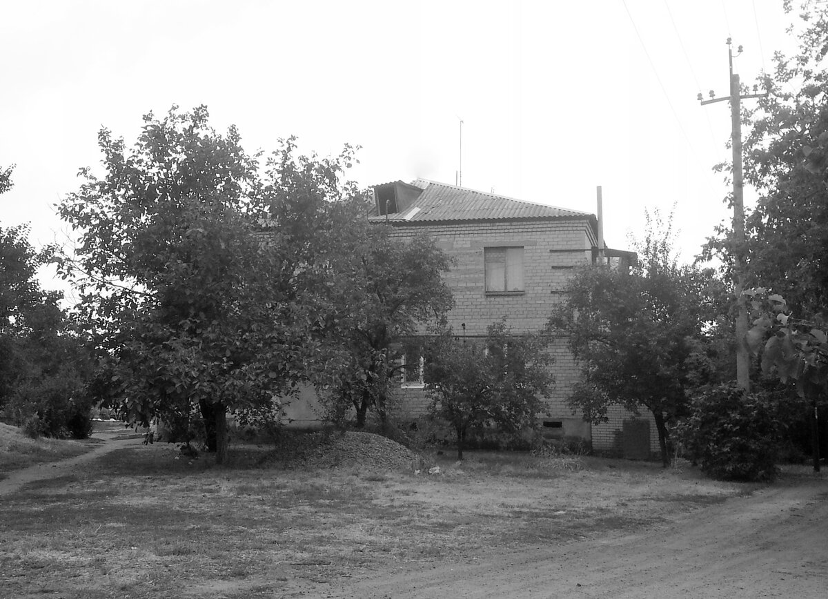 Фото автора.